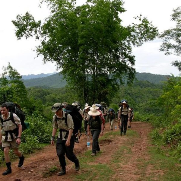 Trekking in Pu Luong Nature Reserve